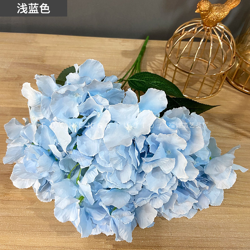 Light blue (5 beams per color, less shots, no hair)