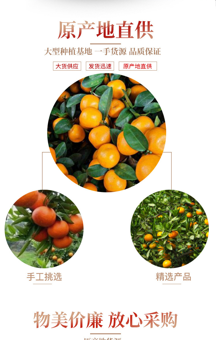 Xinhui Chenpi Dried Tangerine Peel 500g Sun Dried Aged Peel for Soup and Tea specifications