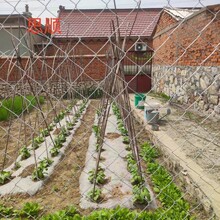 ���η��o�W�����~���Bֳ���W���׃�������������׾W���a�S��