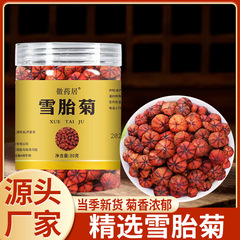 新疆崑崙雪菊胎菊雪胎菊 30 グラム崑崙雪菊胎菊野生赤雪菊卸売配送