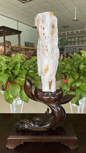 ʯ�^�軯ľľ���Ϳ͏d������N��ʯ��ԭʯ�仯��[���G���ɫ��ɫ