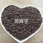 茼麻籽 麻果籽 青麻籽 麻果子 茼麻子