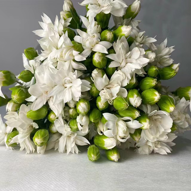 微信图片_20230214204901