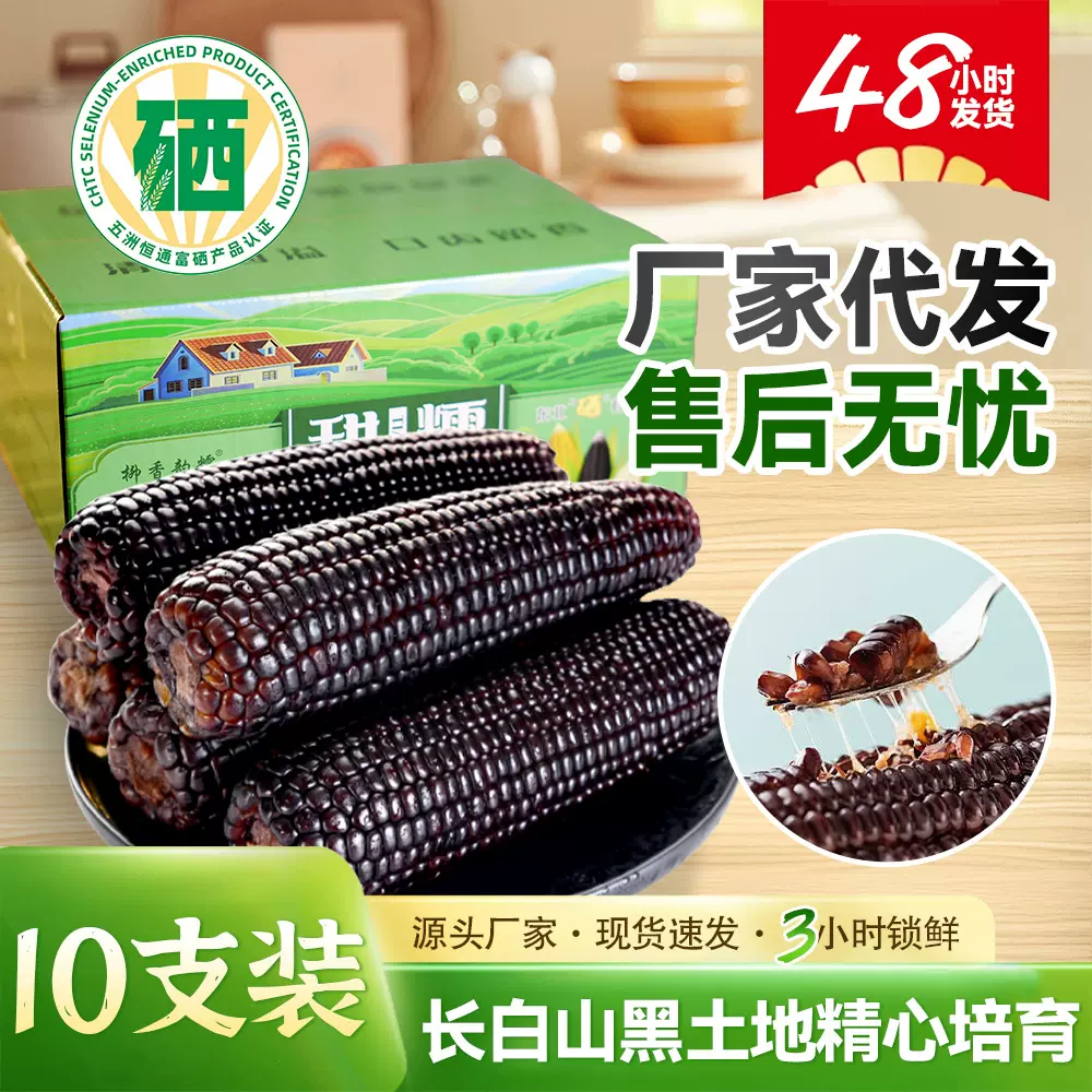 富硒东北甜糯玉米新鲜糯玉米批发独立真空包装10支鲜食黑玉米