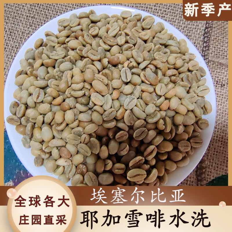 进口咖啡生豆埃塞俄比亚耶加雪菲水洗G2+生咖啡豆500克花香柑橘