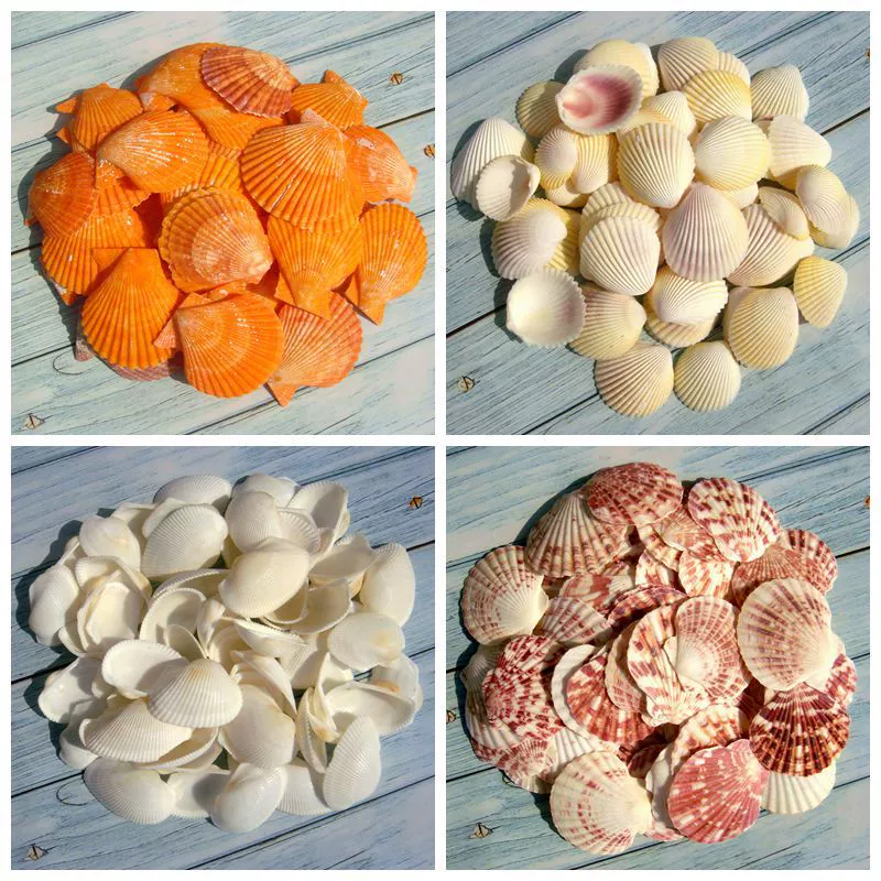 YO3H wholesale natural shell white shell coconut shell shell fish tank aquarium landscaping wool babel window sticker wall decoration