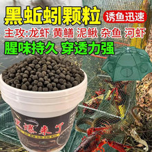 �~�r���ú�������ͺ��w�����r���r�S�X�T�D���q�S�X�~�D��