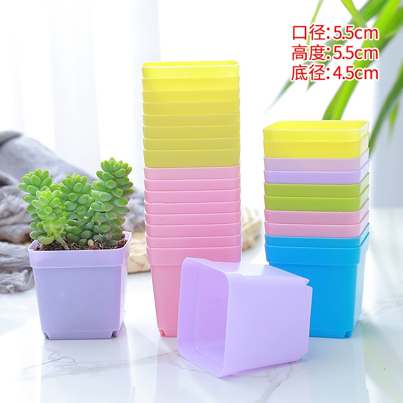 Мясистый маленький квадратный горшок красочный мясистый цветочный горшок рассада Ультра маленький квадратный пластиковый цветочный горшок 5,5 см Черный квадрат производители