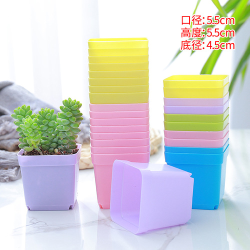 Succulent small square pots colorful succulent flower pots for seedlings ultra-small square plastic flower pots 5.5CM black square manufacturer