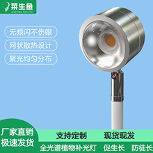 ֲ���a����҃ȼ����o����ط�̫�ȫ���V�^�~�Gֲ���܌������L��