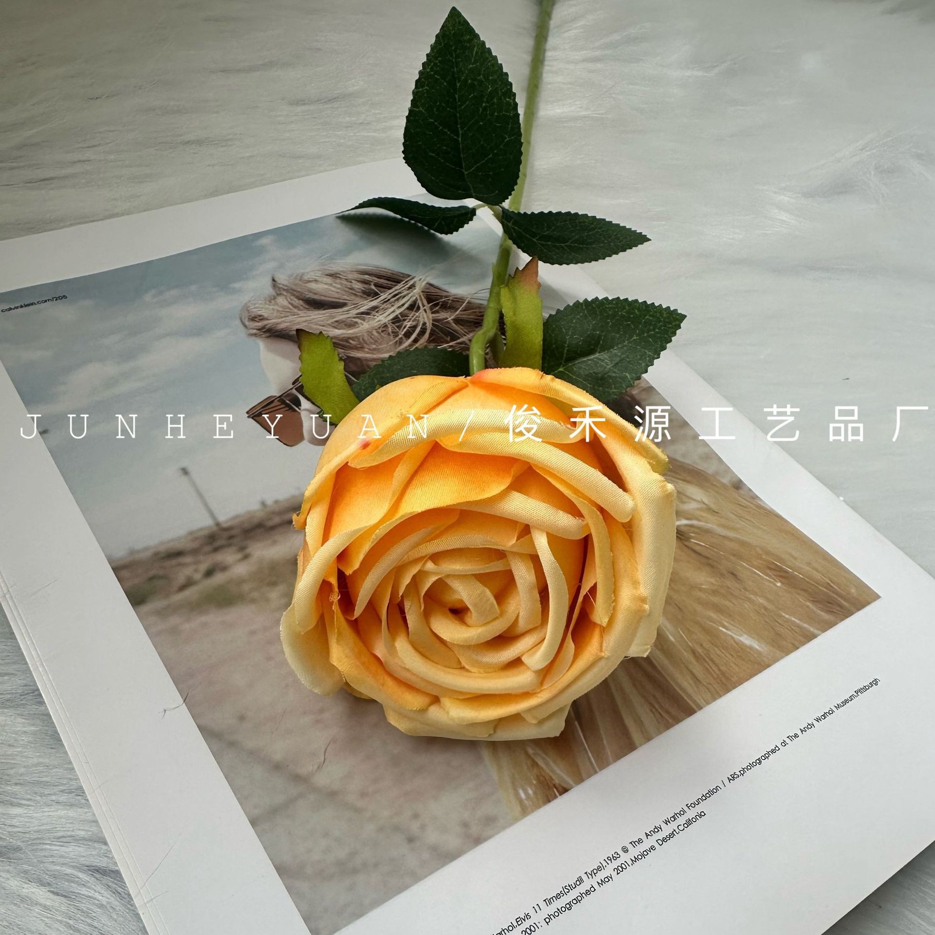 싱글 프린세스 로즈