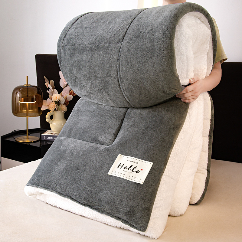 Mayorista 10 kg de cashmere más edredón de leche edredón de invierno núcleo de edredón de invierno grueso calentamiento de invierno estudiantes individuales 8 image 5