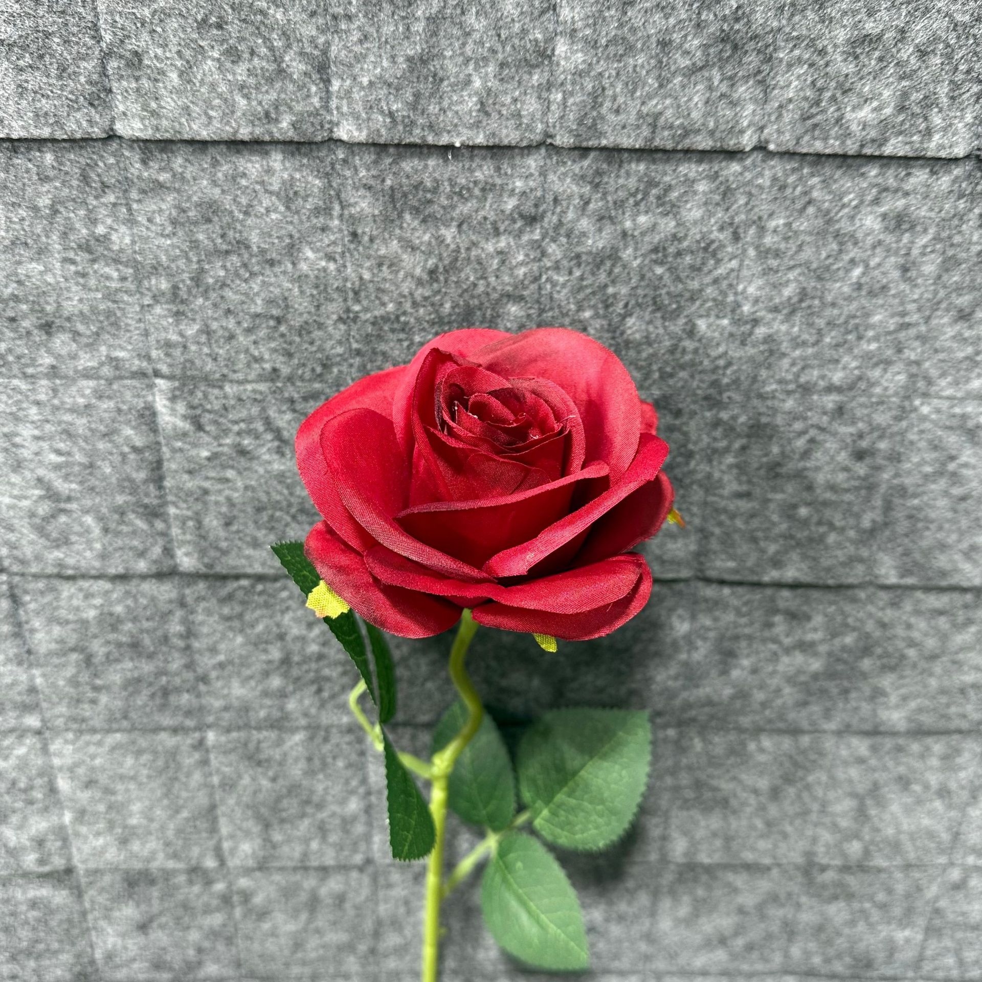진한 빨간색