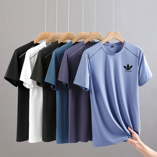 �ļ����~�ݱ��z�ٸɄӸ�����\�]T���б��z͸�⽡�팒���\�Ӷ���