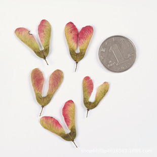 Maple Fruit Dried Flower Embossed Baffle Nail Art Nail Makeup Material Natural Real Flower Plant Specimen Gel Dropping Handmade Material