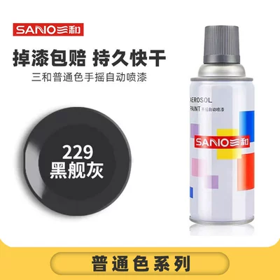 Avtomobil boyası – Spray Paint Metal Anti-Rust Paint Furniture - full-box-sanhe-229black-ship-gray-12-bottlesbox-spray-paint