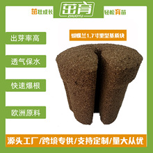 无土栽培蝴蝶兰种植基质替代水苔圃乐格兰花1.7寸夹苗工厂有机质