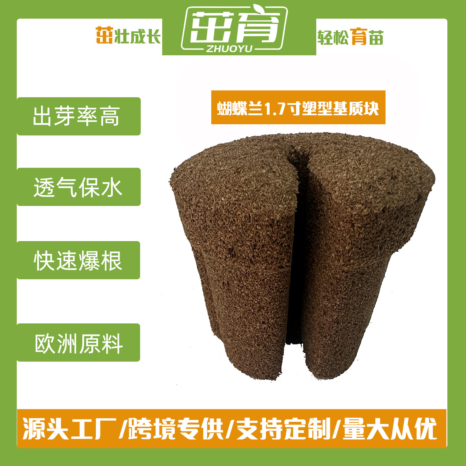 无土栽培蝴蝶兰种植基质替代水苔圃乐格兰花1.7寸夹苗工厂有机质