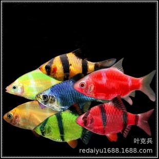 �Ϻ��Ꭷ�^�p�~���l�ɹ�G.�t.�{.��Ƥ�~�ɹ⻢Ƥ��Ƥ���wֱ�N