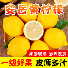 �Ĵ������S�������rˮ��Ƥ���������侫�x��ˮ��������С����خa