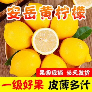 �Ĵ������S�������rˮ��Ƥ���������侫�x��ˮ��������С����خa