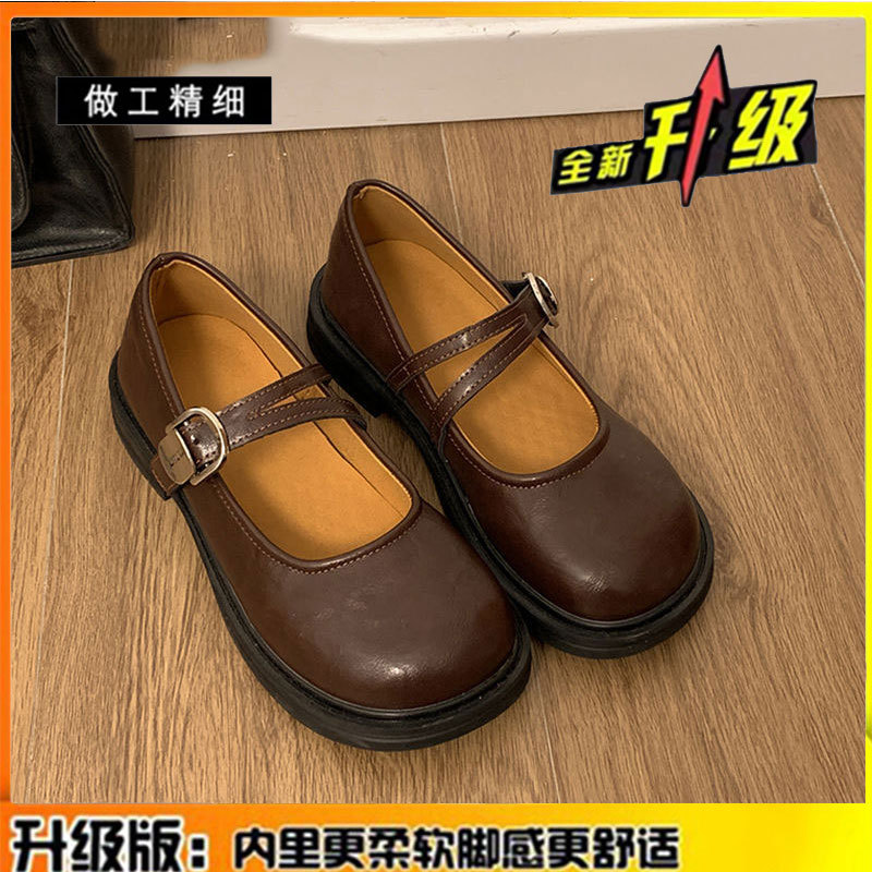 카운터 업그레이드 버전 브라운