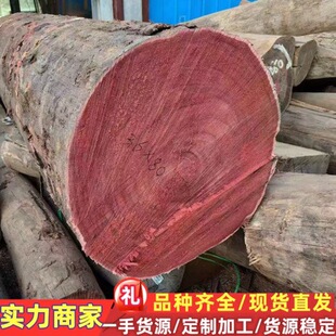 �M�ڬF؛��Ī����� ��Ħ����� ��ɼҾ�ľ�� �M�ڲݻ���ľ��