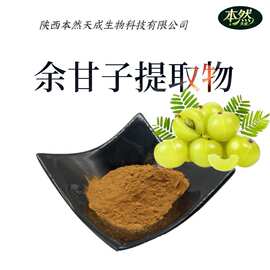 余甘子提取物30:1水溶余甘子原粉现货包邮余甘子粉厂家批发