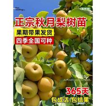 ���������޽Ӵ����Sˮ�����ϱ���ͥԺ���Ե����ͺ�����Y������