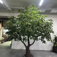 ���渣��ͩ���ϙ����ͷ�������䙻��չ�d�Ƶ�ܛ�b�쾰�bGֲ