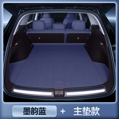 Type, Special Interior Car Accessories: Trunk Mat - select-mo-yun-blue-main-pad-audi-e7x