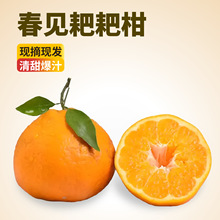 �Ĵ���Ҋ�ҰҸ����θ����˸�����ˮ�����r���䮔�����l