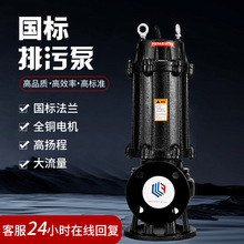 大型污水提升泵无堵塞潜水排污潜污泵大流量排污泵边立式污水泵