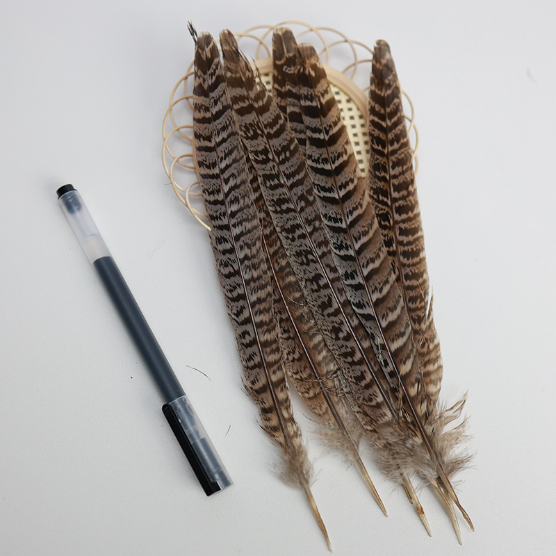 Mayorista 15 - 100cm plumas de cola de pollo de montaña, plumas de gato, plumas de gallo de montaña, plumas de gallo de Beijing, plumas de gallo salvaje