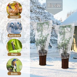 ���R�d���ڶ���͸������ֲ���ڱδ��Nֲ�����������Lpe���ҷ�����