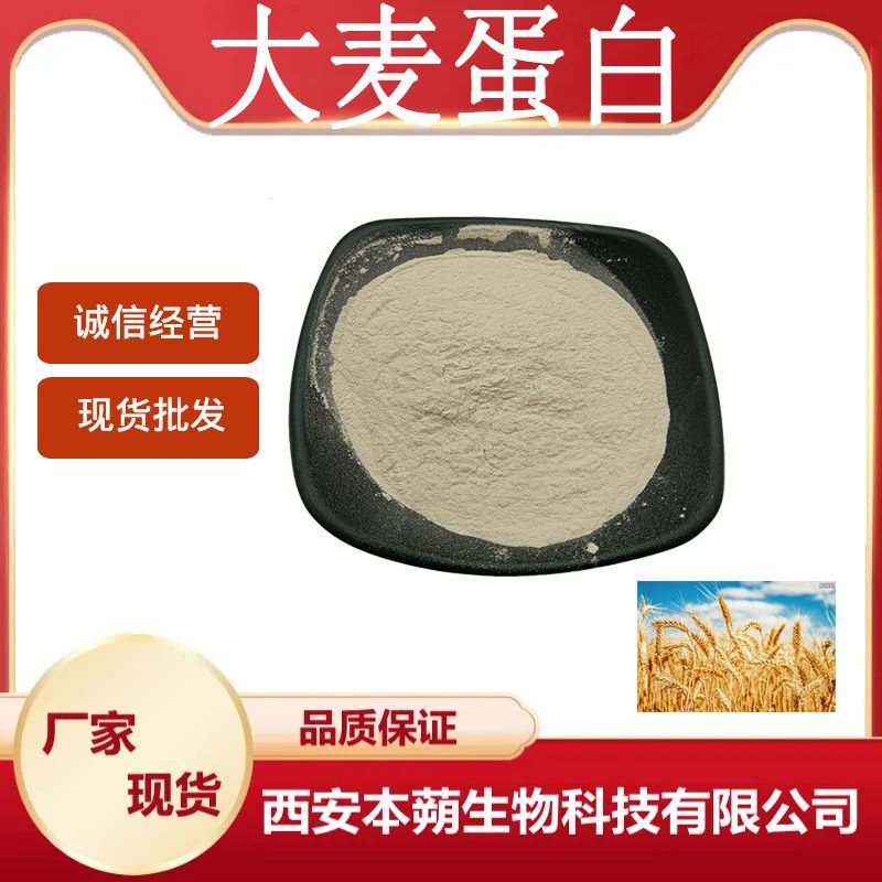 Manufacturer's Ready Stock Barley Protein Barley Protein Powder Barley Extract Barley Powder Multiple Specifications