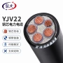 直埋市政工程工地电缆