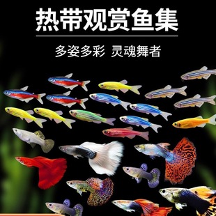 �Ꭷ�^�p�~�~����R�~���Bˮ��С����С�Ϳ�ȸ���~���~��ˮ�����~