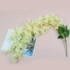 Champagne color