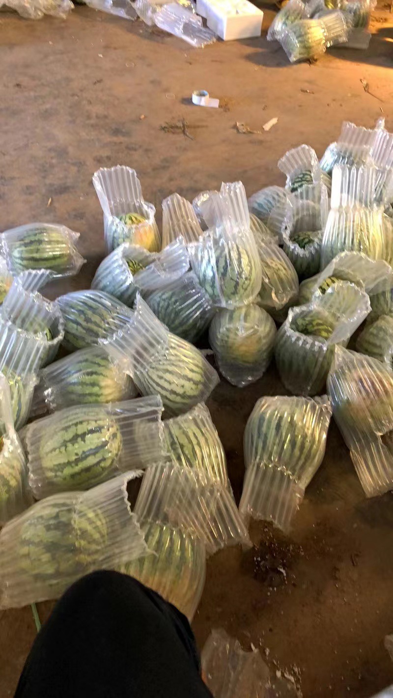 微信图片_20230612163130