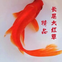 �Lβ�t�ݽ��~���w�\�a�\�����~�^�p�~��ˮ�~��ˮ�~С���~��t�a�~