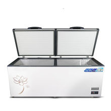 大容量节能冰柜商用家用单温双温冷藏冷冻柜大冰柜展示柜铜管