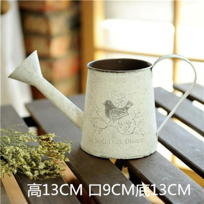 새의 주둥이 냄비는 화분에 물을 줄 수 없다는 점에 유의해야합니다.