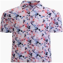 ���zӡ���W��polo����ʿ����羳���z�r���R����Ʒ�|���b��