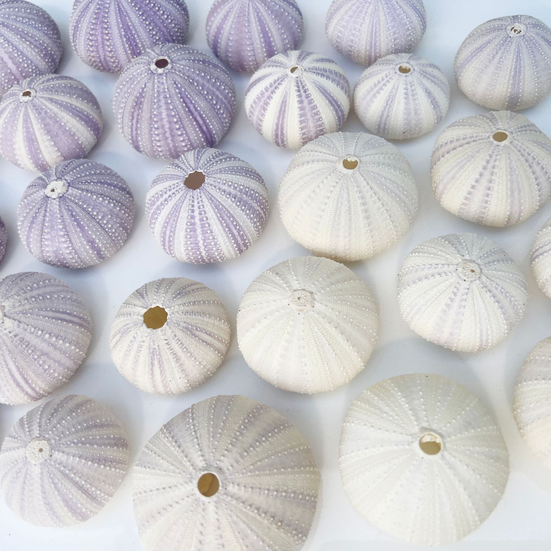 微信图片_20241205145433