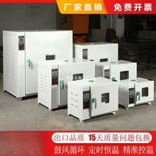 电热恒温鼓风干燥箱实验室小型烘箱食品烘干机工业高温烤箱烘干箱