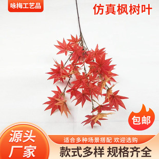 �����Ř�֦���~�y���~�ט���~���֦�^�z�٘��~����Gֲ�٘��~