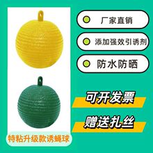 ���ٴ�ω�Tω�����ω��h�Tճ�x�������@ճω�����T���T����