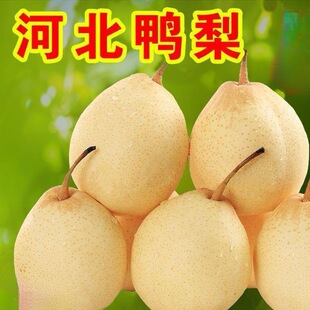 ������b3����ˮ����5��Ƥ�������rˮ�����ڰ��]10�ӱ�����