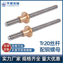 304不锈钢梯形丝杆螺杆T型丝杆 机床丝杠T20导程4/8/20厂家直供
